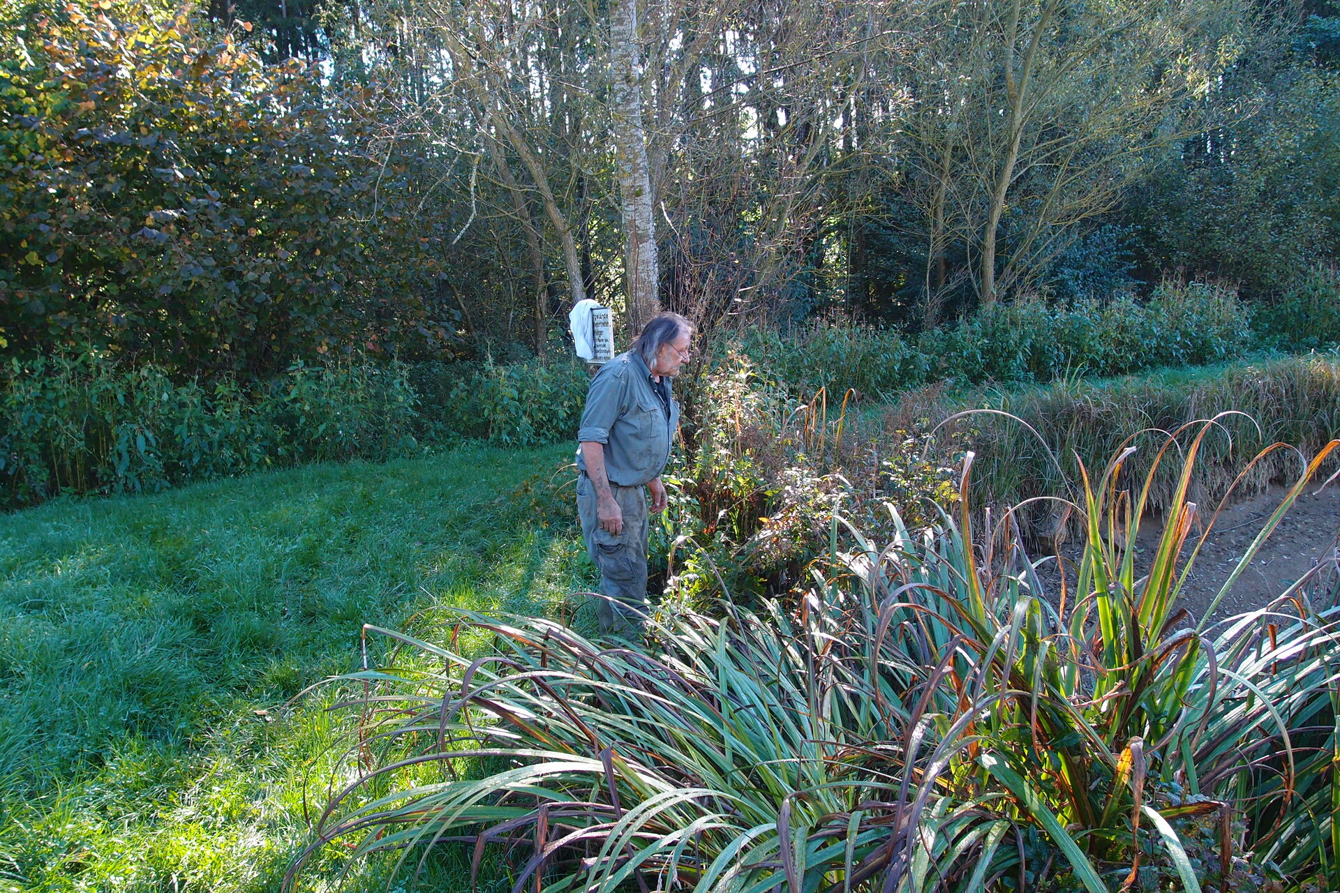 Galeriebild: PA183136